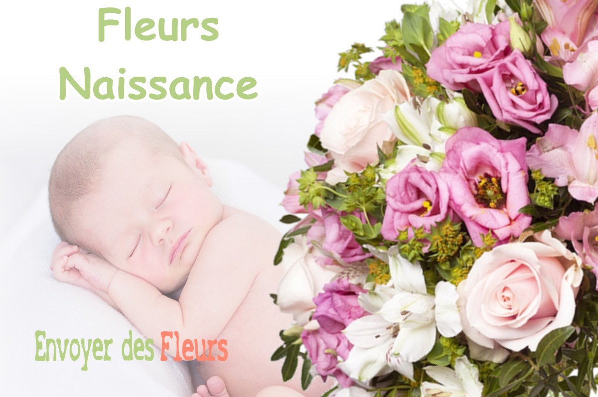 lIVRAISON FLEURS NAISSANCE à CHAILLY-EN-GATINAIS